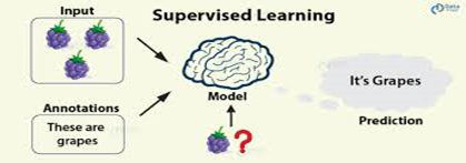 Self-Supervised Learning